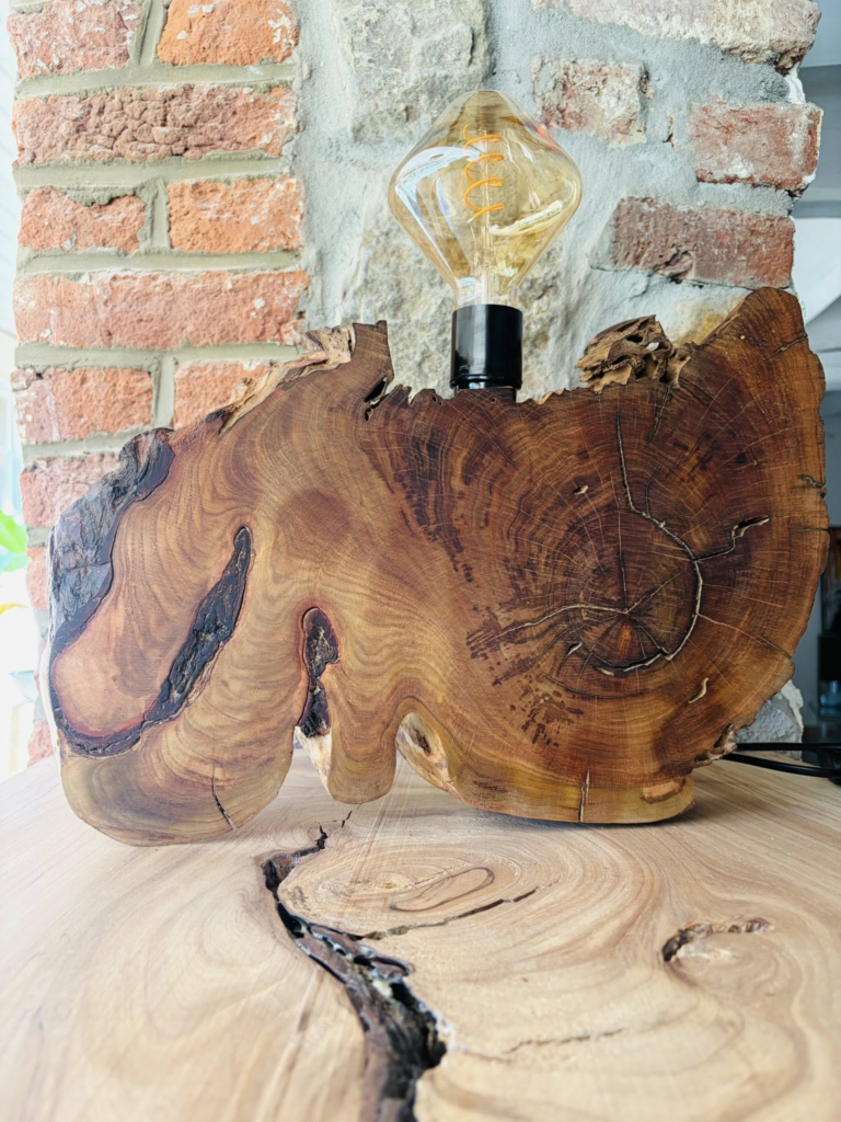 1er lampe en olivier 3