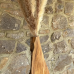 Vase 1 150x150
